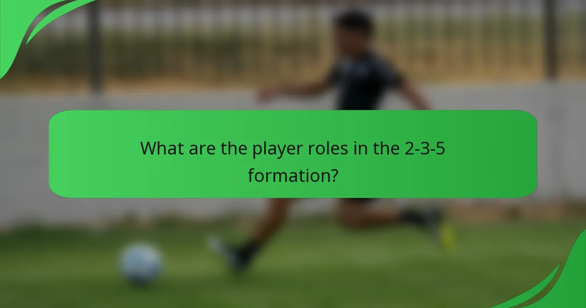 What are the player roles in the 2-3-5 formation?